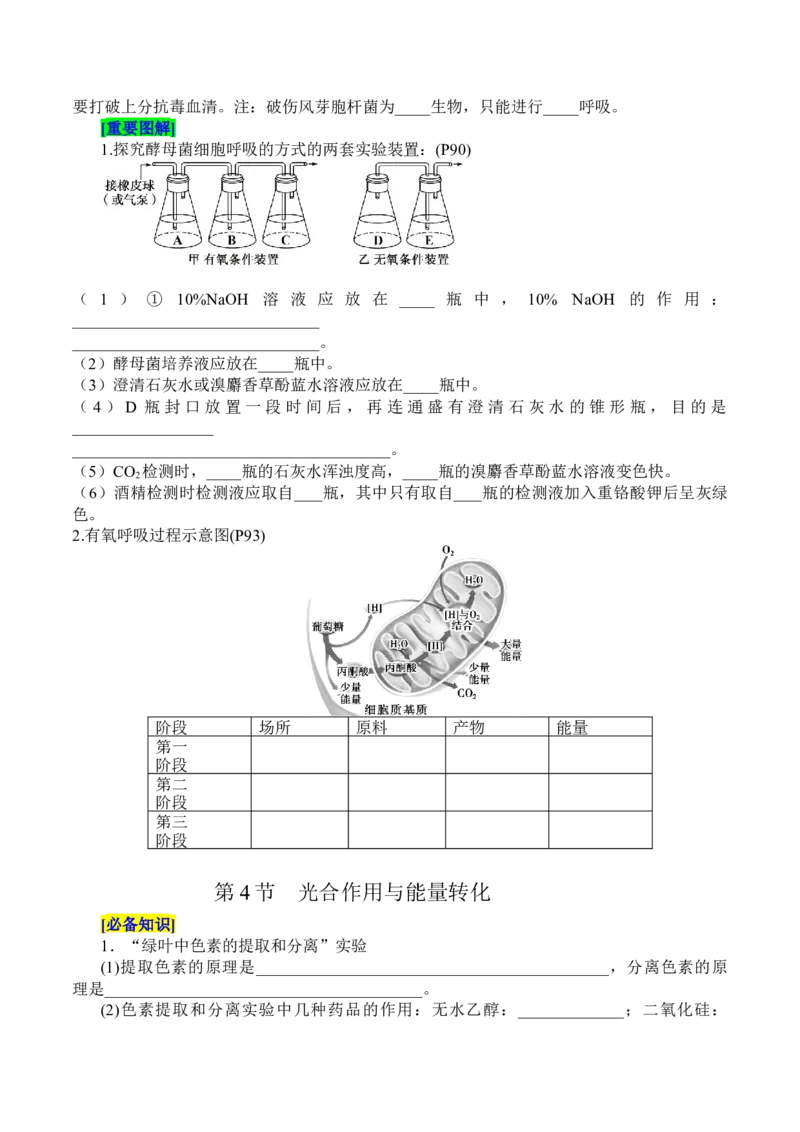 第5章细胞的能量供应和利用（填空版）_2025年新高考资料_专项复习_晨读晚默备战2025年高考生物必背知识清单
