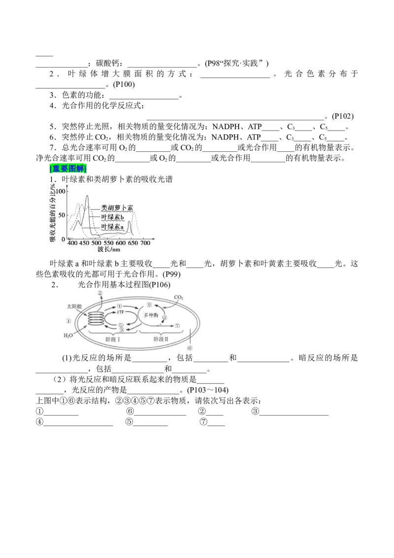第5章细胞的能量供应和利用（填空版）_2025年新高考资料_专项复习_晨读晚默备战2025年高考生物必背知识清单