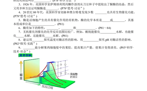 第5章细胞的能量供应和利用（填空版）_2025年新高考资料_专项复习_晨读晚默备战2025年高考生物必背知识清单