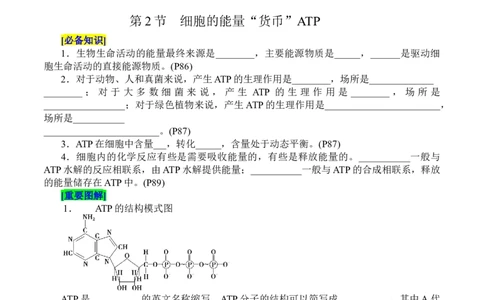 第5章细胞的能量供应和利用（填空版）_2025年新高考资料_专项复习_晨读晚默备战2025年高考生物必背知识清单