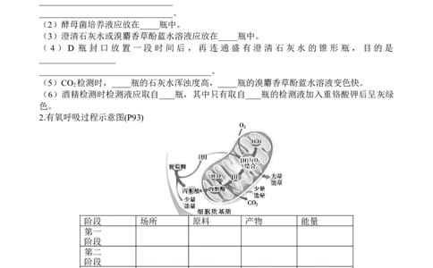 第5章细胞的能量供应和利用（填空版）_2025年新高考资料_专项复习_晨读晚默备战2025年高考生物必背知识清单