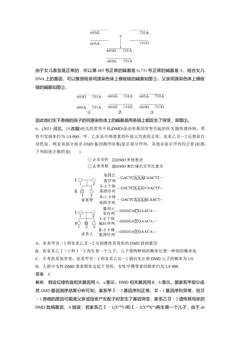 第五单元　第28课时　伴性遗传和人类遗传病_2025年新高考资料_一轮复习_2025大一轮复习讲义+课件（完结）_2025大一轮复习讲义生物教师用书Word版文档整书