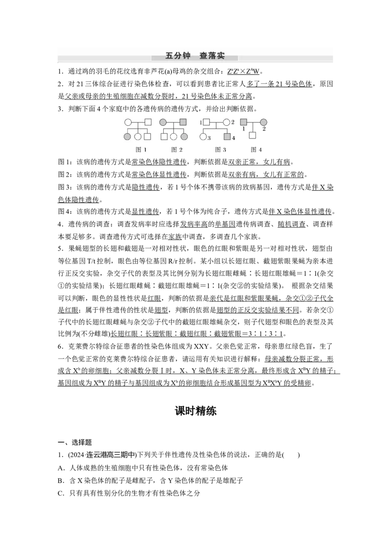 第五单元　第28课时　伴性遗传和人类遗传病_2025年新高考资料_一轮复习_2025大一轮复习讲义+课件（完结）_2025大一轮复习讲义生物教师用书Word版文档整书