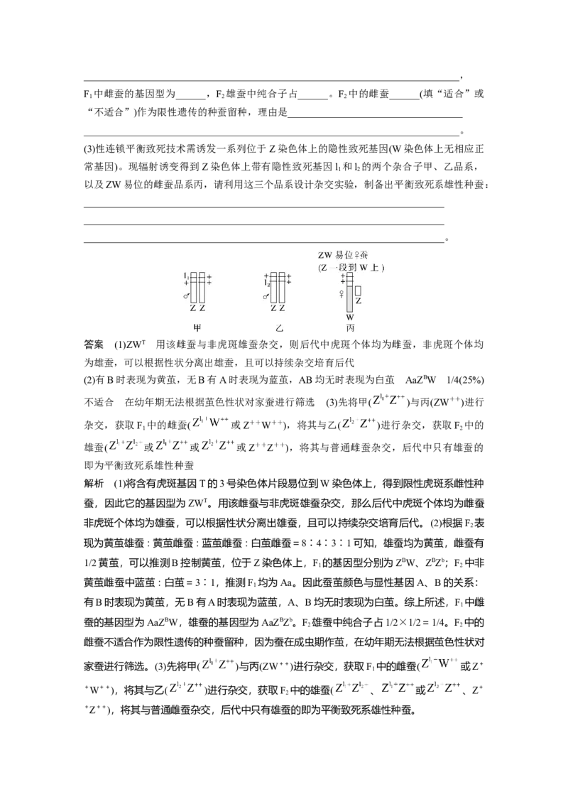 第五单元　第28课时　伴性遗传和人类遗传病_2025年新高考资料_一轮复习_2025大一轮复习讲义+课件（完结）_2025大一轮复习讲义生物教师用书Word版文档整书
