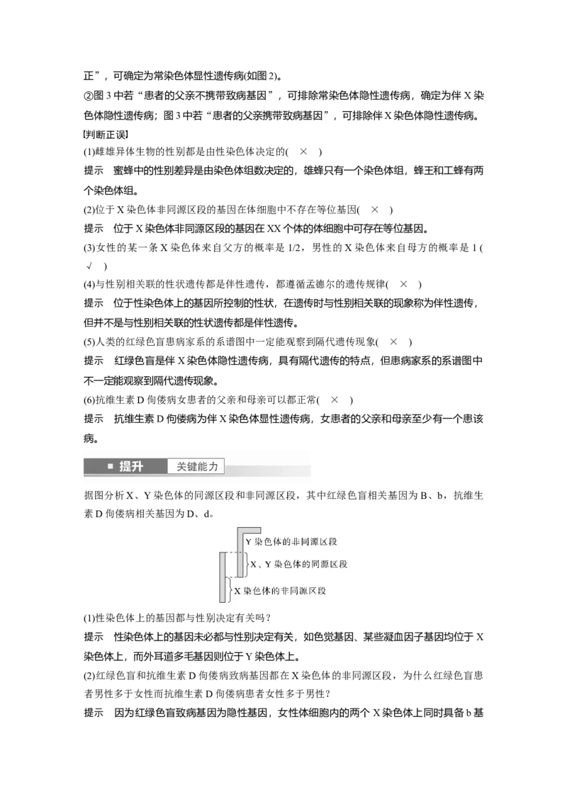 第五单元　第28课时　伴性遗传和人类遗传病_2025年新高考资料_一轮复习_2025大一轮复习讲义+课件（完结）_2025大一轮复习讲义生物教师用书Word版文档整书