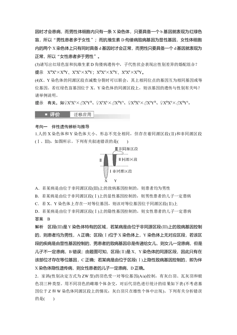 第五单元　第28课时　伴性遗传和人类遗传病_2025年新高考资料_一轮复习_2025大一轮复习讲义+课件（完结）_2025大一轮复习讲义生物教师用书Word版文档整书