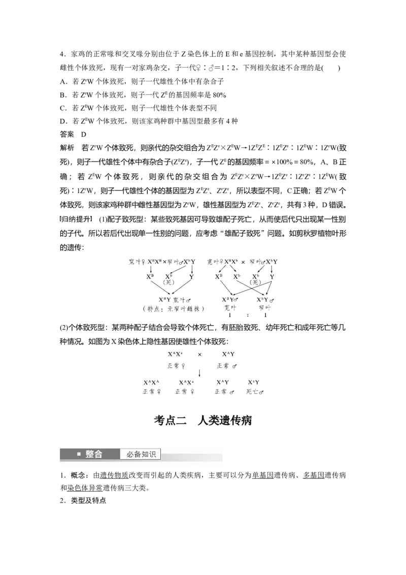 第五单元　第28课时　伴性遗传和人类遗传病_2025年新高考资料_一轮复习_2025大一轮复习讲义+课件（完结）_2025大一轮复习讲义生物教师用书Word版文档整书