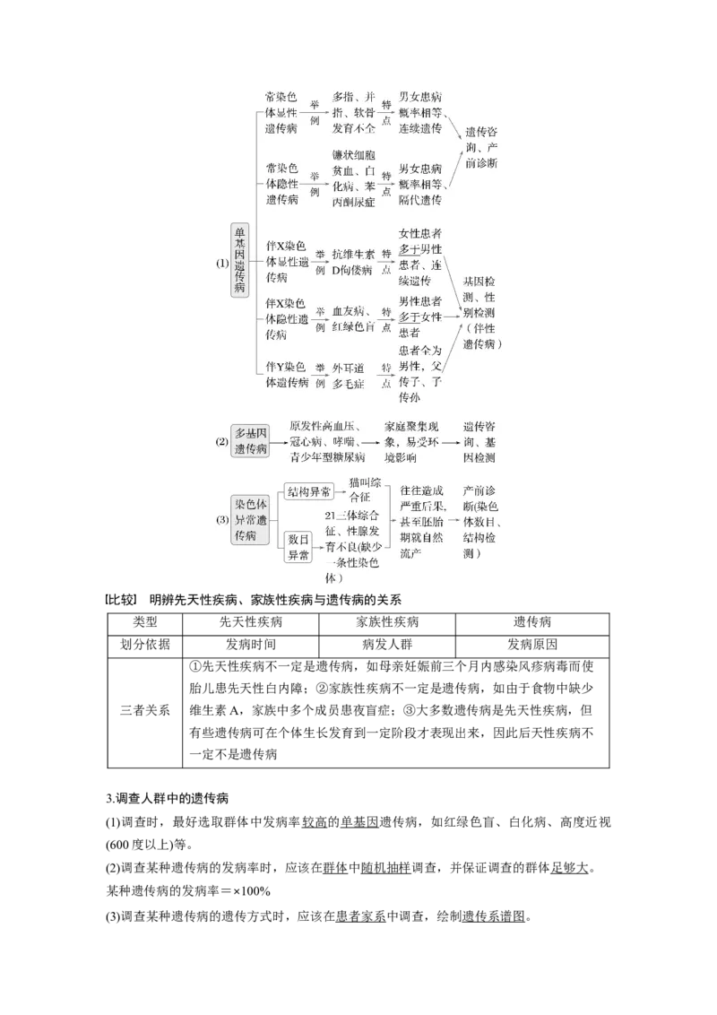 第五单元　第28课时　伴性遗传和人类遗传病_2025年新高考资料_一轮复习_2025大一轮复习讲义+课件（完结）_2025大一轮复习讲义生物教师用书Word版文档整书