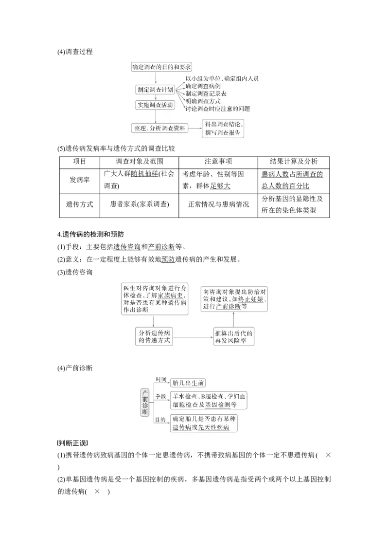 第五单元　第28课时　伴性遗传和人类遗传病_2025年新高考资料_一轮复习_2025大一轮复习讲义+课件（完结）_2025大一轮复习讲义生物教师用书Word版文档整书