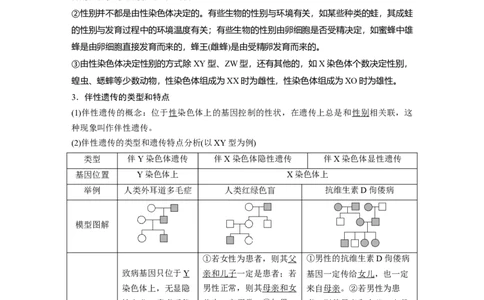 第五单元　第28课时　伴性遗传和人类遗传病_2025年新高考资料_一轮复习_2025大一轮复习讲义+课件（完结）_2025大一轮复习讲义生物教师用书Word版文档整书