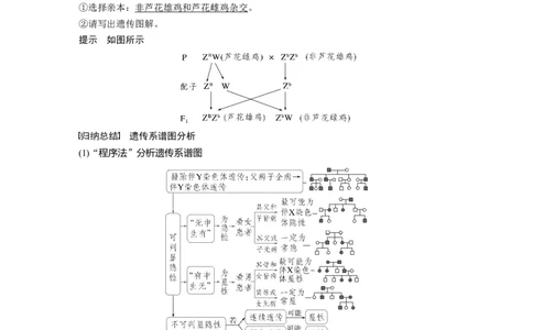 第五单元　第28课时　伴性遗传和人类遗传病_2025年新高考资料_一轮复习_2025大一轮复习讲义+课件（完结）_2025大一轮复习讲义生物教师用书Word版文档整书