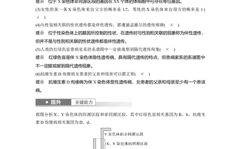第五单元　第28课时　伴性遗传和人类遗传病_2025年新高考资料_一轮复习_2025大一轮复习讲义+课件（完结）_2025大一轮复习讲义生物教师用书Word版文档整书