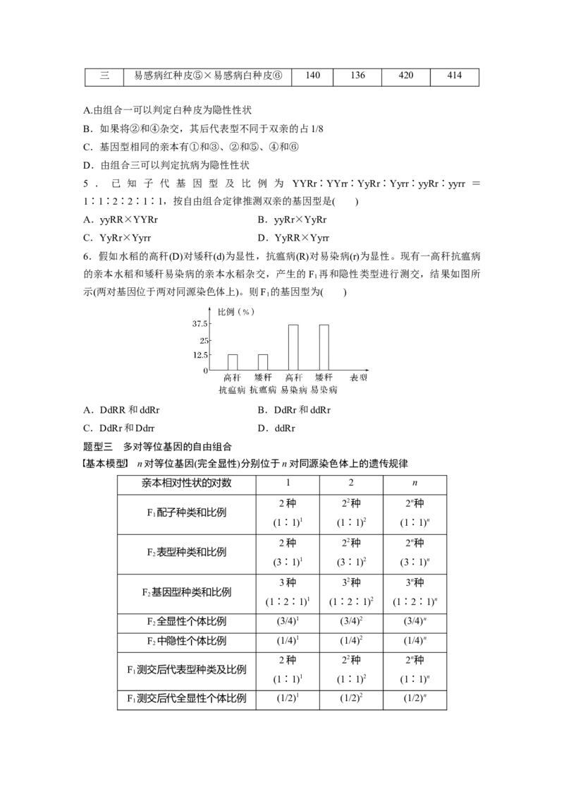 第五单元　第26课时　自由组合定律_新高考复习资料_2025年新高考资料_2025新高考一轮复习生物_2025大一轮复习讲义生物人教版学生用书Word版文档整书_2025大一轮复习讲义