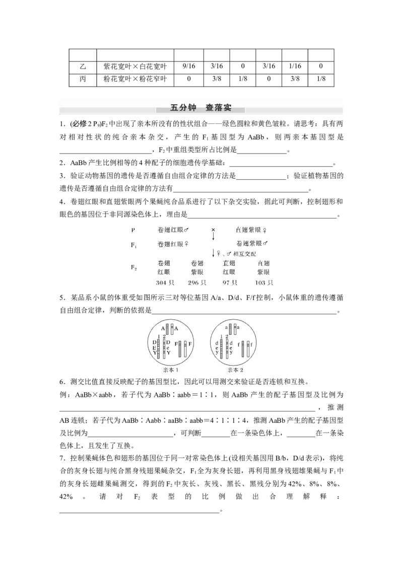 第五单元　第26课时　自由组合定律_新高考复习资料_2025年新高考资料_2025新高考一轮复习生物_2025大一轮复习讲义生物人教版学生用书Word版文档整书_2025大一轮复习讲义