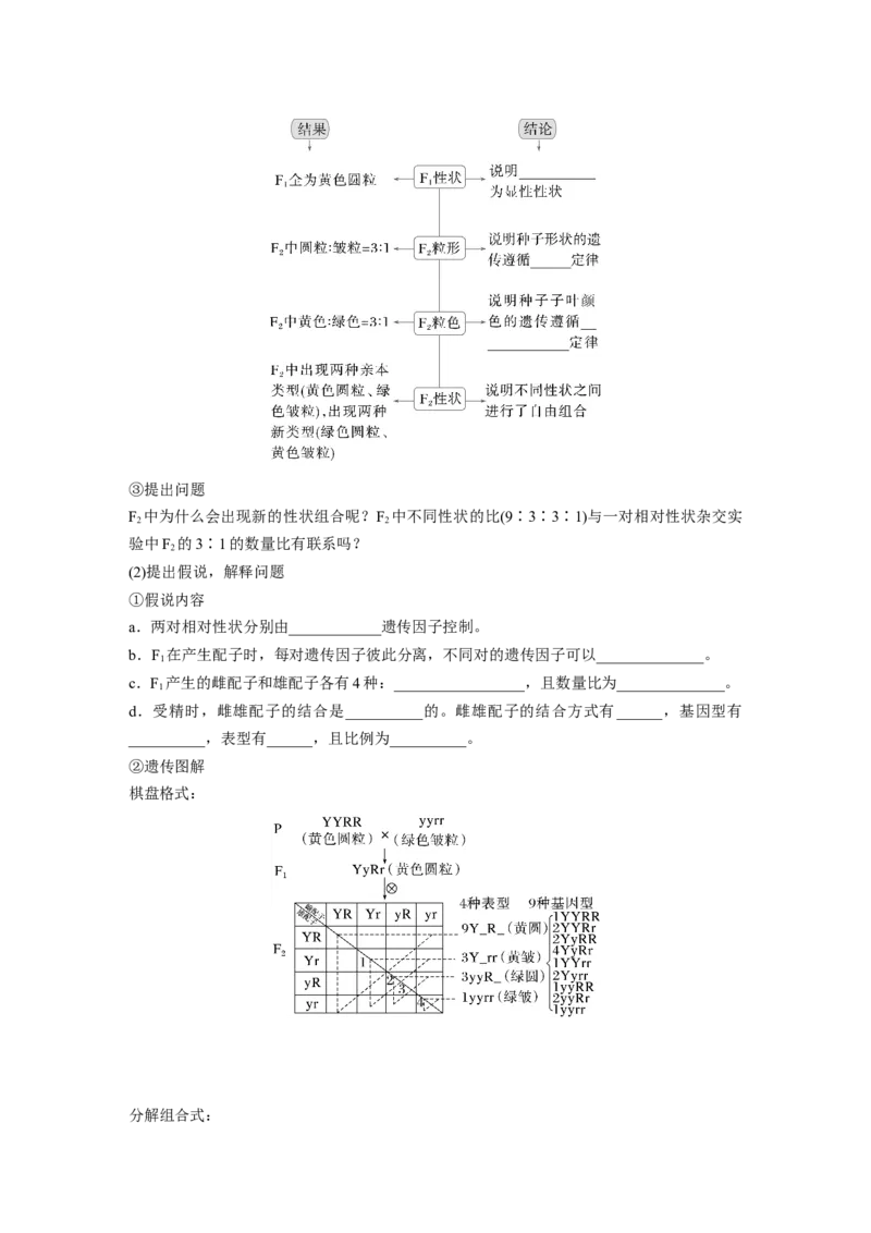第五单元　第26课时　自由组合定律_新高考复习资料_2025年新高考资料_2025新高考一轮复习生物_2025大一轮复习讲义生物人教版学生用书Word版文档整书_2025大一轮复习讲义