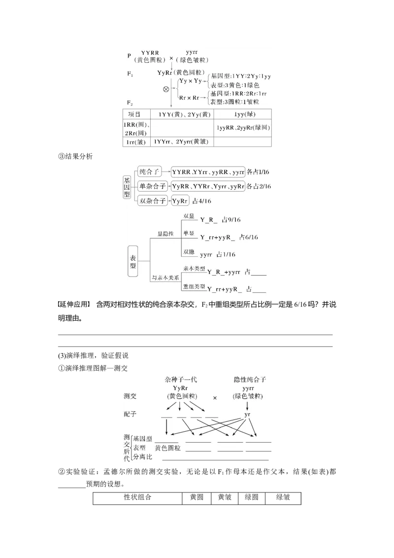第五单元　第26课时　自由组合定律_新高考复习资料_2025年新高考资料_2025新高考一轮复习生物_2025大一轮复习讲义生物人教版学生用书Word版文档整书_2025大一轮复习讲义