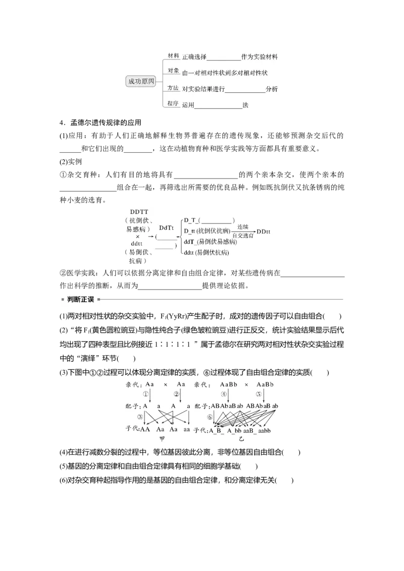 第五单元　第26课时　自由组合定律_新高考复习资料_2025年新高考资料_2025新高考一轮复习生物_2025大一轮复习讲义生物人教版学生用书Word版文档整书_2025大一轮复习讲义