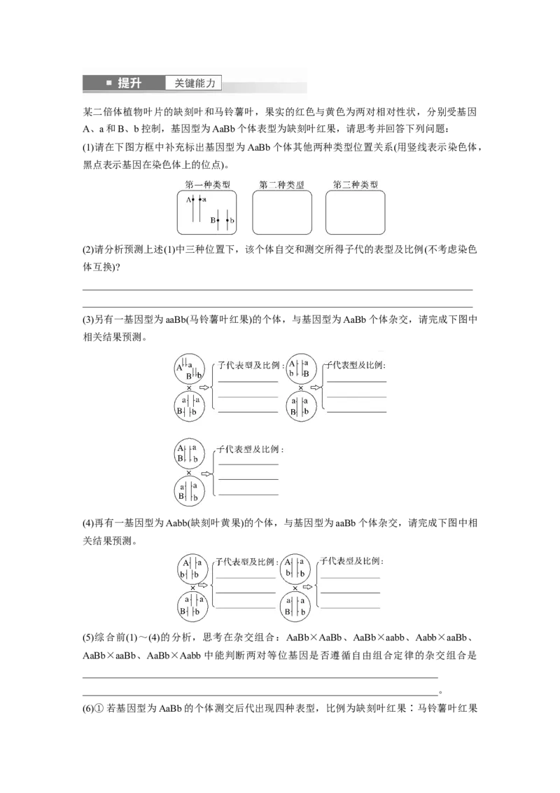 第五单元　第26课时　自由组合定律_新高考复习资料_2025年新高考资料_2025新高考一轮复习生物_2025大一轮复习讲义生物人教版学生用书Word版文档整书_2025大一轮复习讲义
