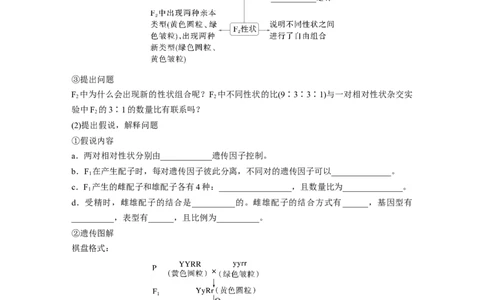第五单元　第26课时　自由组合定律_新高考复习资料_2025年新高考资料_2025新高考一轮复习生物_2025大一轮复习讲义生物人教版学生用书Word版文档整书_2025大一轮复习讲义