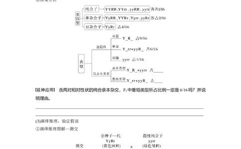 第五单元　第26课时　自由组合定律_新高考复习资料_2025年新高考资料_2025新高考一轮复习生物_2025大一轮复习讲义生物人教版学生用书Word版文档整书_2025大一轮复习讲义