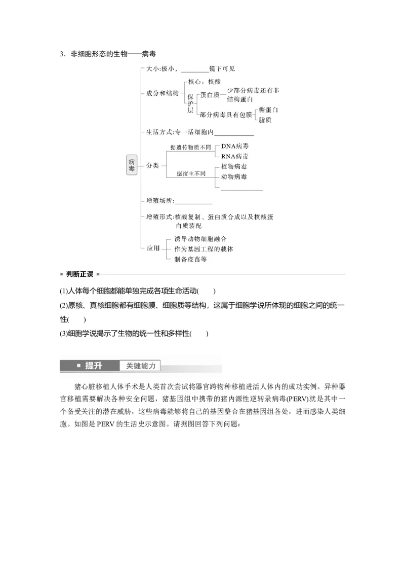 第一单元　第1课时　走近细胞_2025年新高考资料_一轮复习_2025大一轮复习讲义+课件（完结）_2025大一轮复习讲义生物学生用书Word版文档整书_2025大一轮复习讲义