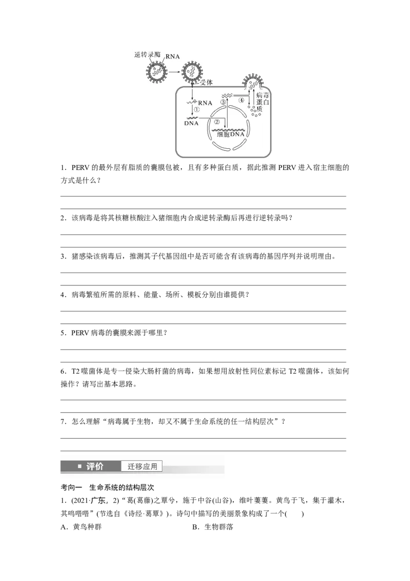 第一单元　第1课时　走近细胞_2025年新高考资料_一轮复习_2025大一轮复习讲义+课件（完结）_2025大一轮复习讲义生物学生用书Word版文档整书_2025大一轮复习讲义