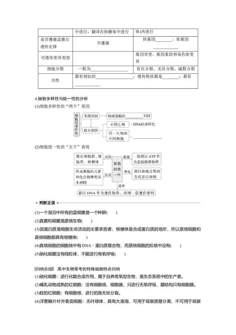 第一单元　第1课时　走近细胞_2025年新高考资料_一轮复习_2025大一轮复习讲义+课件（完结）_2025大一轮复习讲义生物学生用书Word版文档整书_2025大一轮复习讲义