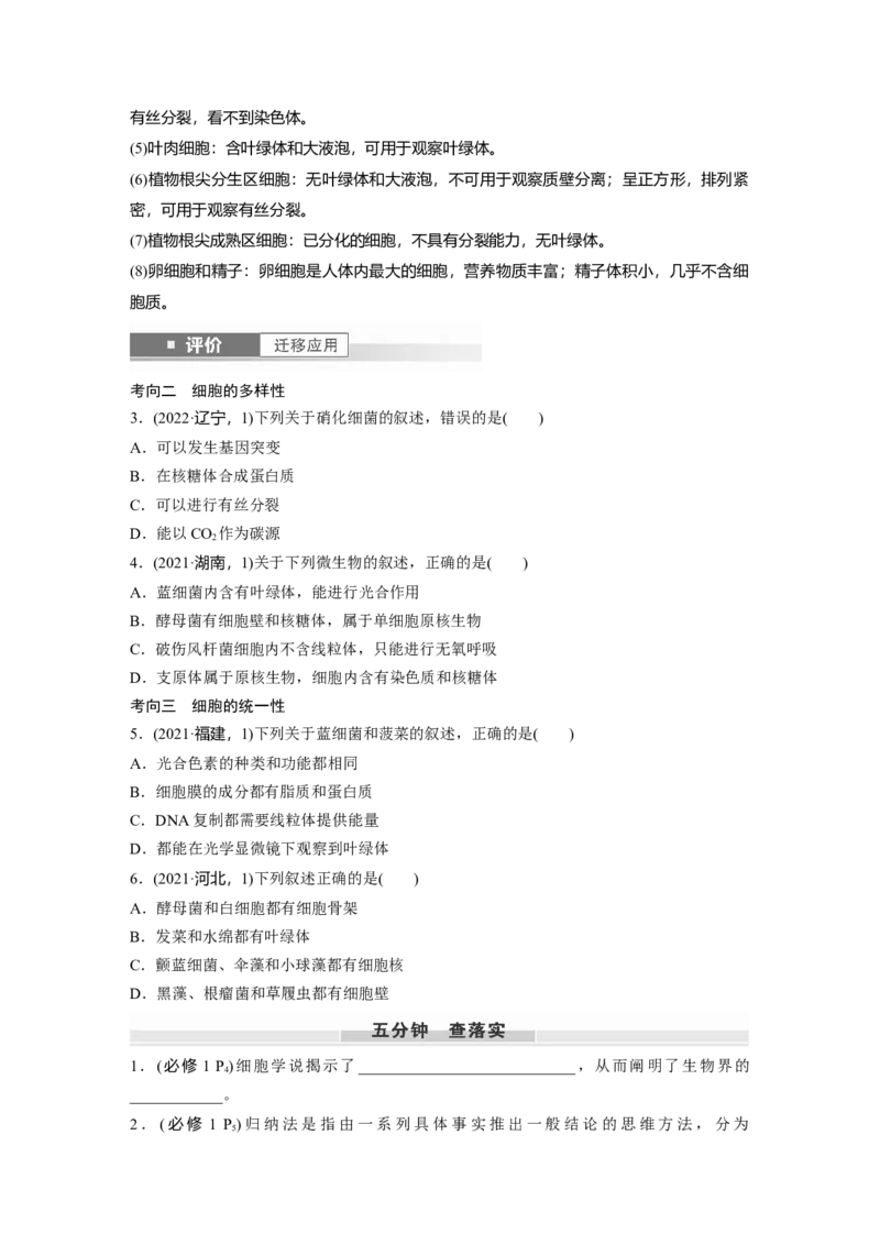 第一单元　第1课时　走近细胞_2025年新高考资料_一轮复习_2025大一轮复习讲义+课件（完结）_2025大一轮复习讲义生物学生用书Word版文档整书_2025大一轮复习讲义