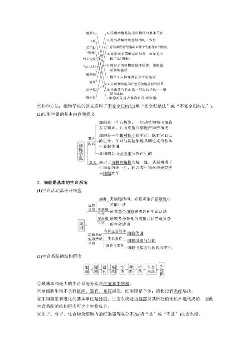 第一单元　第1课时　走近细胞_2025年新高考资料_一轮复习_2025大一轮复习讲义+课件（完结）_2025大一轮复习讲义生物教师用书Word版文档整书_配套Word版文档第一~二单元