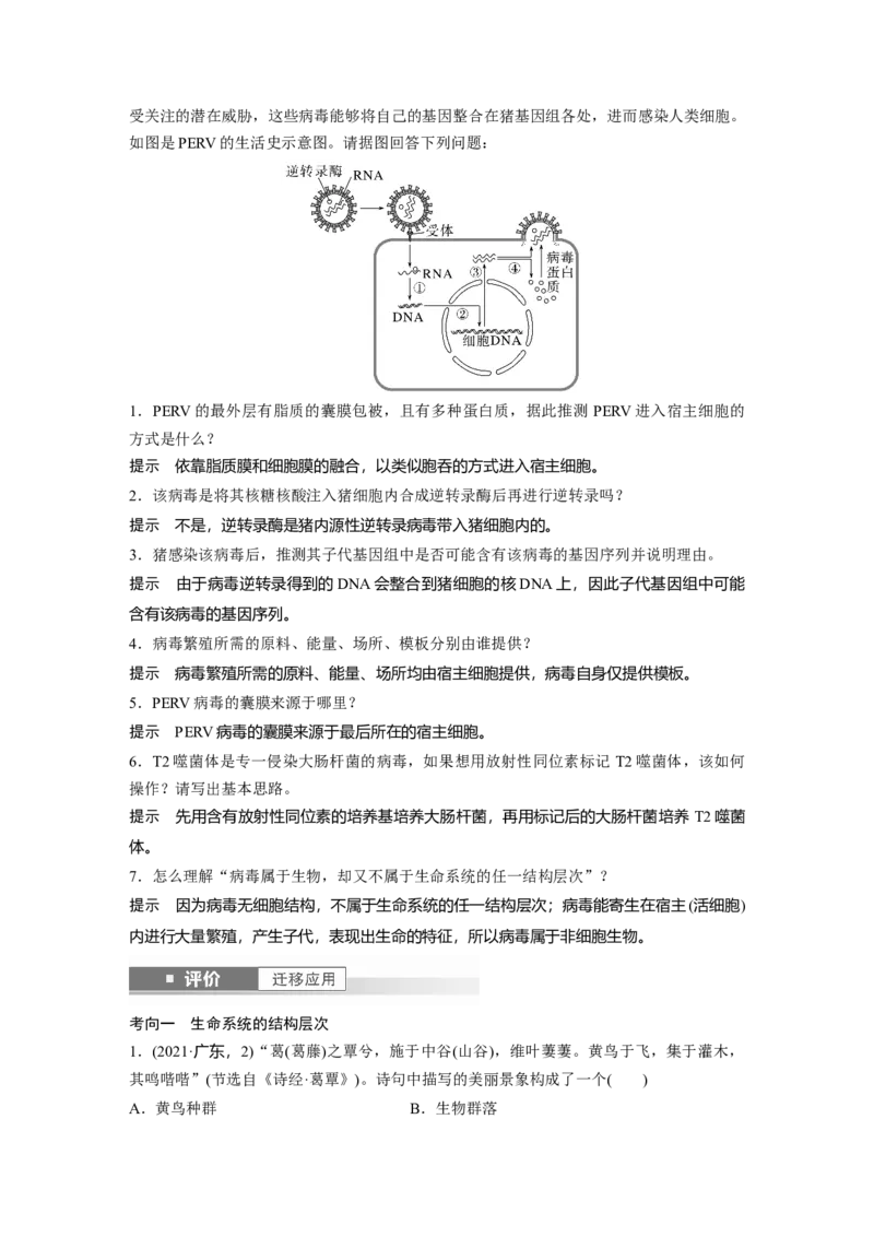 第一单元　第1课时　走近细胞_2025年新高考资料_一轮复习_2025大一轮复习讲义+课件（完结）_2025大一轮复习讲义生物教师用书Word版文档整书_配套Word版文档第一~二单元