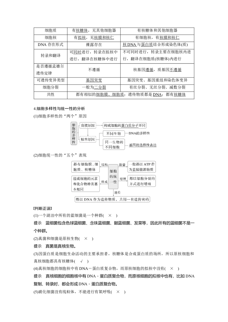 第一单元　第1课时　走近细胞_2025年新高考资料_一轮复习_2025大一轮复习讲义+课件（完结）_2025大一轮复习讲义生物教师用书Word版文档整书_配套Word版文档第一~二单元