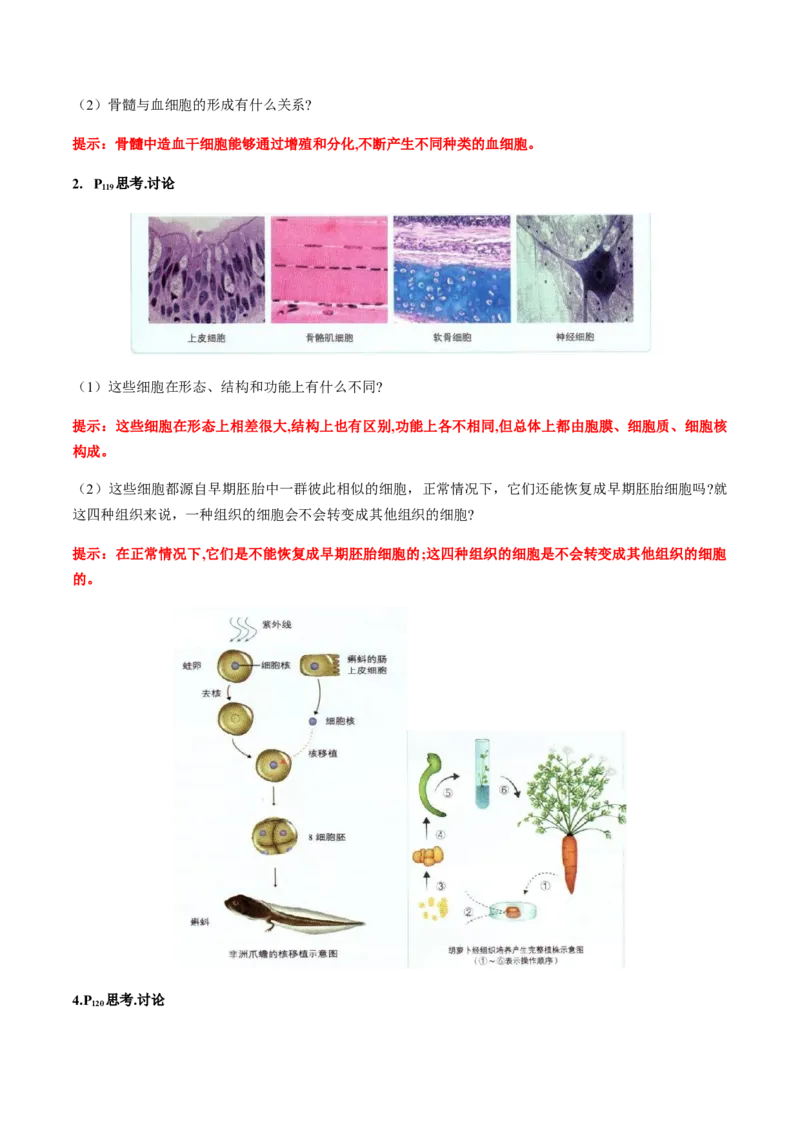 第六章细胞的生命历程-查漏补缺2023年高考生物一轮复习教材必背细节与旁栏思考梳理汇总（新教材）（带答案）_新高考复习资料_2023年新高考复习资料_一轮复习
