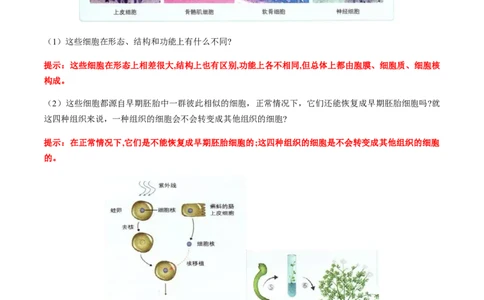 第六章细胞的生命历程-查漏补缺2023年高考生物一轮复习教材必背细节与旁栏思考梳理汇总（新教材）（带答案）_新高考复习资料_2023年新高考复习资料_一轮复习