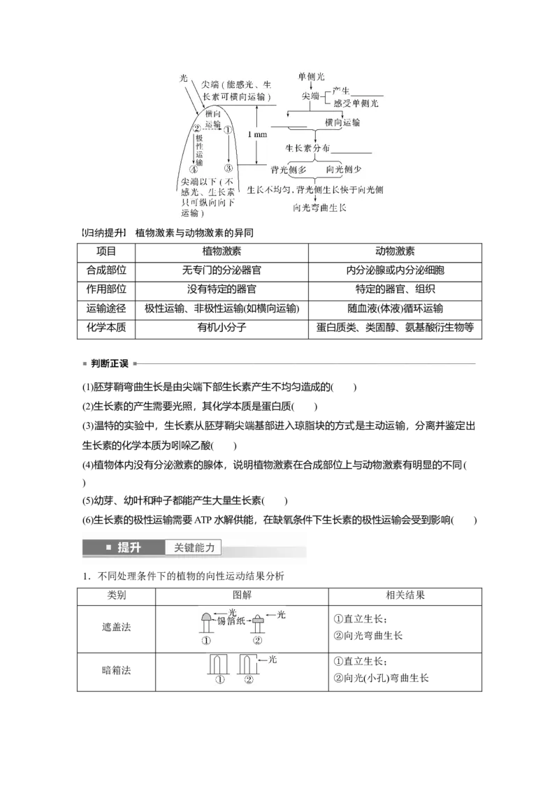 第八单元　第44课时　植物生长素_2025年新高考资料_一轮复习_2025大一轮复习讲义+课件（完结）_2025大一轮复习讲义生物学生用书Word版文档整书_2025大一轮复习讲义