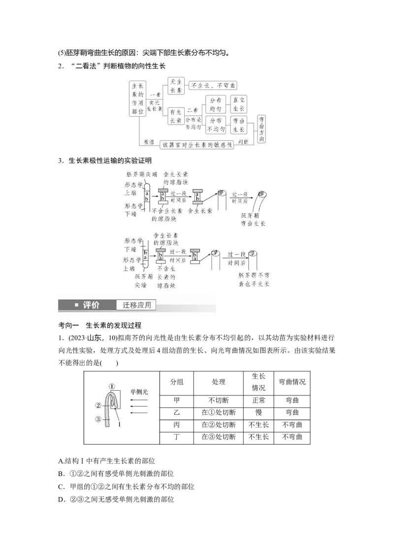 第八单元　第44课时　植物生长素_2025年新高考资料_一轮复习_2025大一轮复习讲义+课件（完结）_2025大一轮复习讲义生物学生用书Word版文档整书_2025大一轮复习讲义