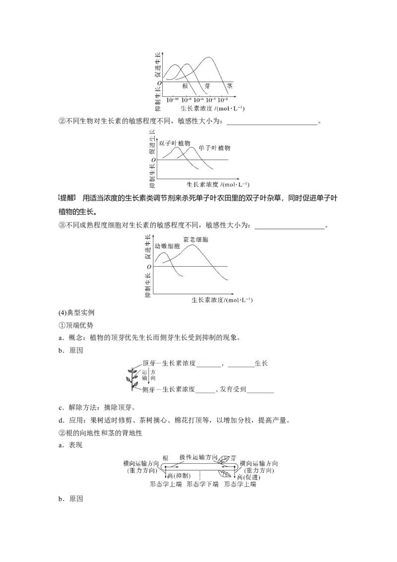 第八单元　第44课时　植物生长素_2025年新高考资料_一轮复习_2025大一轮复习讲义+课件（完结）_2025大一轮复习讲义生物学生用书Word版文档整书_2025大一轮复习讲义