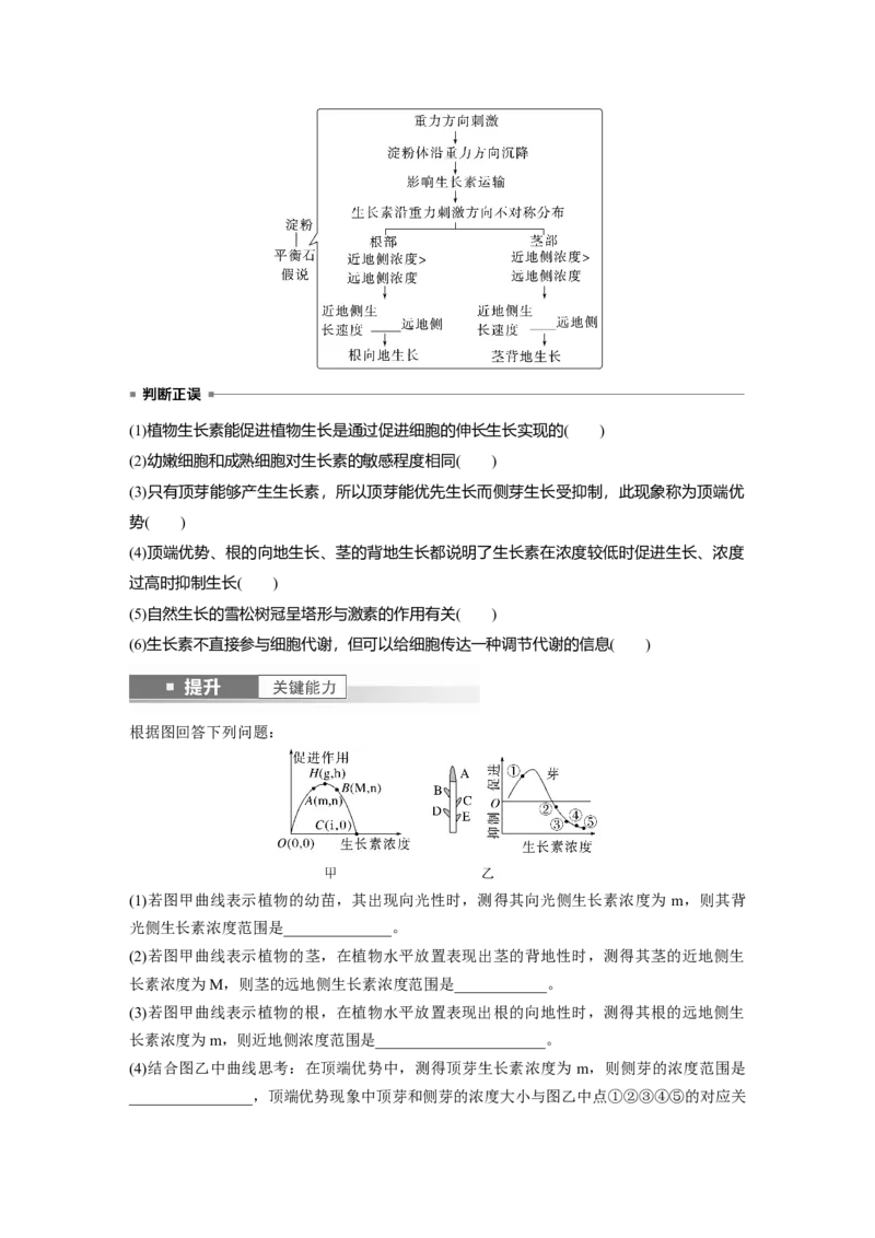 第八单元　第44课时　植物生长素_2025年新高考资料_一轮复习_2025大一轮复习讲义+课件（完结）_2025大一轮复习讲义生物学生用书Word版文档整书_2025大一轮复习讲义