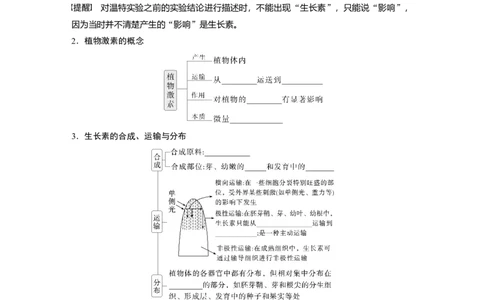 第八单元　第44课时　植物生长素_2025年新高考资料_一轮复习_2025大一轮复习讲义+课件（完结）_2025大一轮复习讲义生物学生用书Word版文档整书_2025大一轮复习讲义