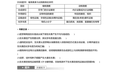 第八单元　第44课时　植物生长素_2025年新高考资料_一轮复习_2025大一轮复习讲义+课件（完结）_2025大一轮复习讲义生物学生用书Word版文档整书_2025大一轮复习讲义