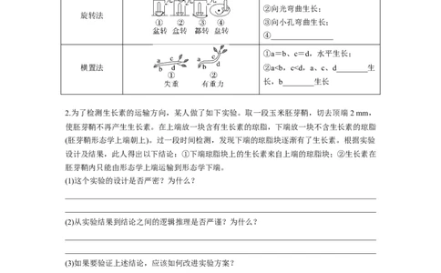 第八单元　第44课时　植物生长素_2025年新高考资料_一轮复习_2025大一轮复习讲义+课件（完结）_2025大一轮复习讲义生物学生用书Word版文档整书_2025大一轮复习讲义