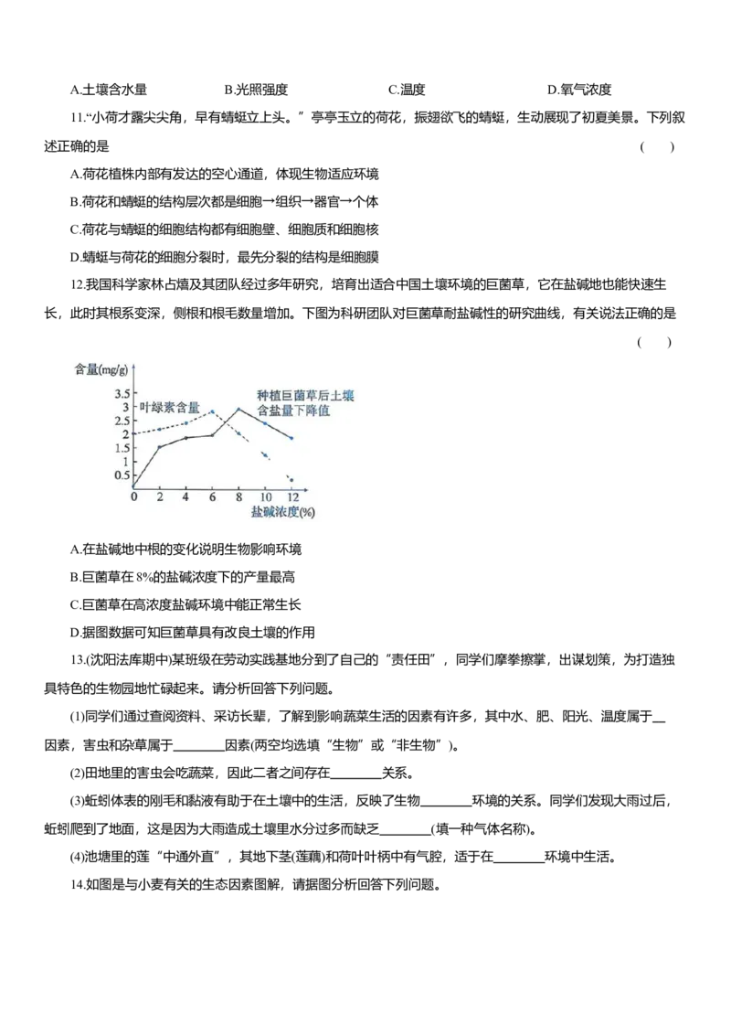 2026年中考生物复习专题练习：专题九生物与环境（含答案）_6生物中考复习_2026年中考复习（更新中）_2026年中考生物一轮复习专题练习（含答案）