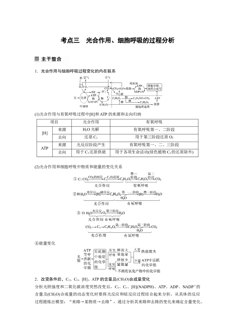 第一篇专题二考点三　光合作用、细胞呼吸的过程分析_通用版（老高考）复习资料_2023年复习资料_二轮复习_2023年高考生物二轮复习讲义+课件（全国版）_学生版_大二轮专题复习讲义