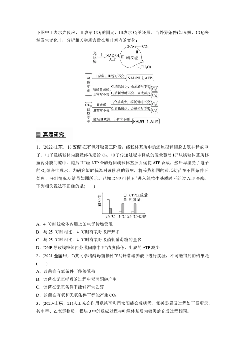 第一篇专题二考点三　光合作用、细胞呼吸的过程分析_通用版（老高考）复习资料_2023年复习资料_二轮复习_2023年高考生物二轮复习讲义+课件（全国版）_学生版_大二轮专题复习讲义