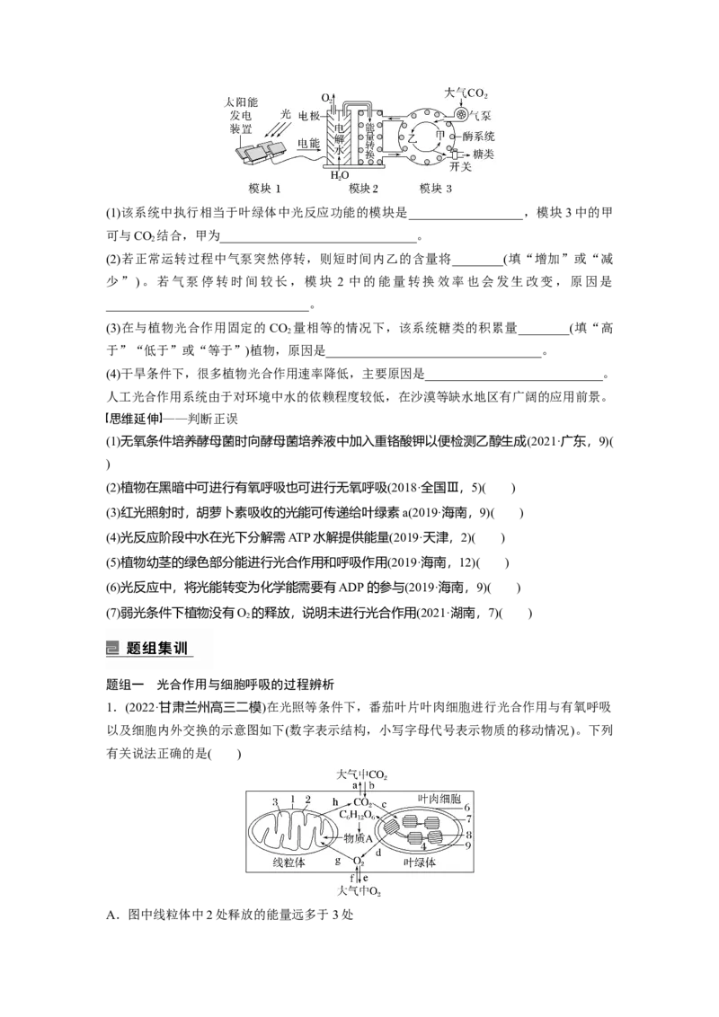 第一篇专题二考点三　光合作用、细胞呼吸的过程分析_通用版（老高考）复习资料_2023年复习资料_二轮复习_2023年高考生物二轮复习讲义+课件（全国版）_学生版_大二轮专题复习讲义