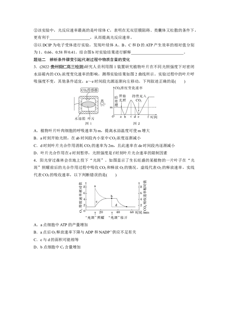 第一篇专题二考点三　光合作用、细胞呼吸的过程分析_通用版（老高考）复习资料_2023年复习资料_二轮复习_2023年高考生物二轮复习讲义+课件（全国版）_学生版_大二轮专题复习讲义