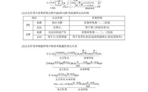 第一篇专题二考点三　光合作用、细胞呼吸的过程分析_通用版（老高考）复习资料_2023年复习资料_二轮复习_2023年高考生物二轮复习讲义+课件（全国版）_学生版_大二轮专题复习讲义