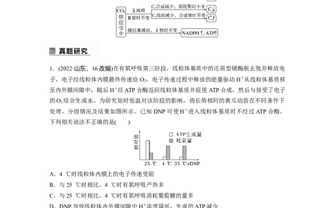 第一篇专题二考点三　光合作用、细胞呼吸的过程分析_通用版（老高考）复习资料_2023年复习资料_二轮复习_2023年高考生物二轮复习讲义+课件（全国版）_学生版_大二轮专题复习讲义