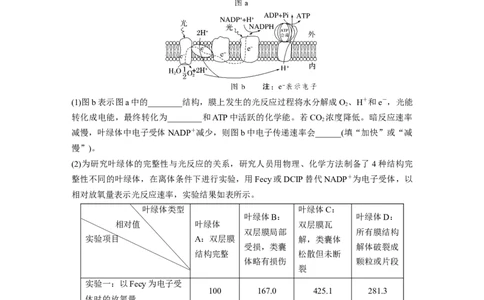 第一篇专题二考点三　光合作用、细胞呼吸的过程分析_通用版（老高考）复习资料_2023年复习资料_二轮复习_2023年高考生物二轮复习讲义+课件（全国版）_学生版_大二轮专题复习讲义