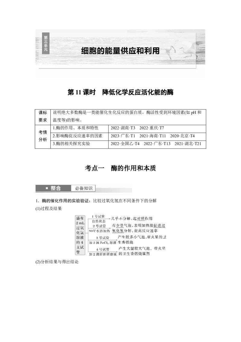 第三单元　第11课时　降低化学反应活化能的酶_2025年新高考资料_一轮复习_2025大一轮复习讲义+课件（完结）_2025大一轮复习讲义生物教师用书Word版文档整书