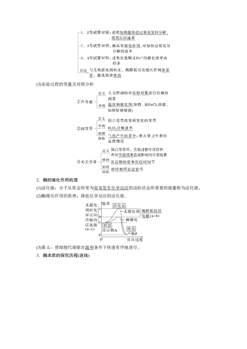 第三单元　第11课时　降低化学反应活化能的酶_2025年新高考资料_一轮复习_2025大一轮复习讲义+课件（完结）_2025大一轮复习讲义生物教师用书Word版文档整书